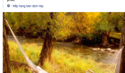 Tranh cãi việc các cặp đôi Việt sính ngoại ngữ để bày tỏ tình cảm